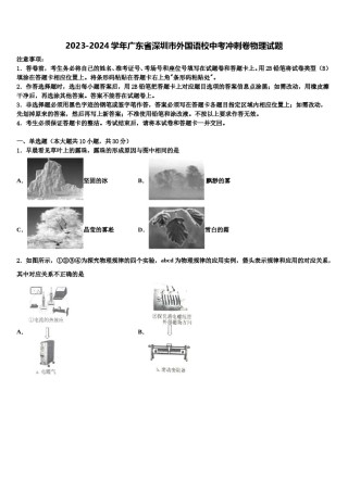 2023-2024学年广东省深圳市外国语校中考冲刺卷物理试题含解析.doc