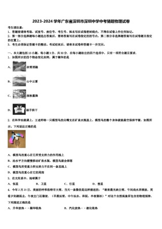 2023-2024学年广东省深圳市深圳中学中考猜题物理试卷含解析.doc