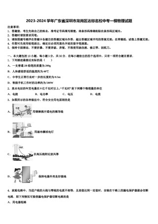 2023-2024学年广东省深圳市龙岗区达标名校中考一模物理试题含解析.doc