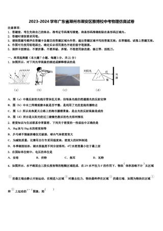 2023-2024学年广东省潮州市潮安区雅博校中考物理仿真试卷含解析.doc