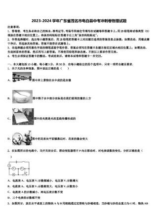2023-2024学年广东省茂名市电白县中考冲刺卷物理试题含解析.doc