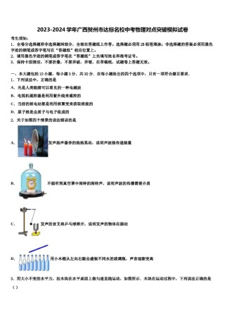 2023-2024学年广西贺州市达标名校中考物理对点突破模拟试卷含解析.doc