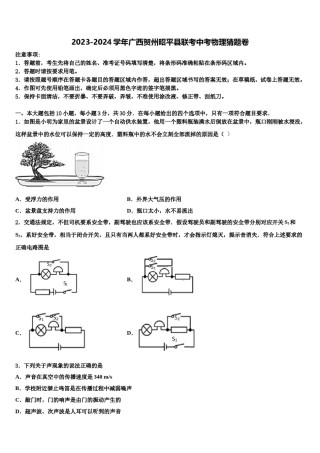 2023-2024学年广西贺州昭平县联考中考物理猜题卷含解析.doc