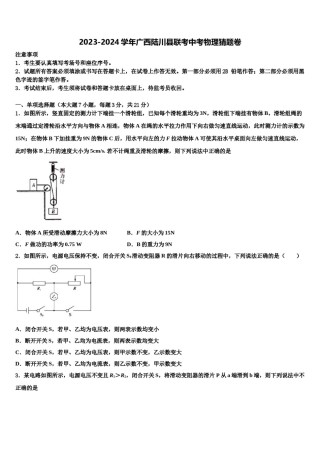 2023-2024学年广西陆川县联考中考物理猜题卷含解析.doc