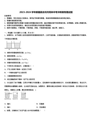 2023-2024学年新疆昌吉州共同体中考冲刺卷物理试题含解析.doc