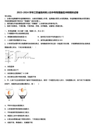2023-2024学年江苏省扬州树人校中考物理最后冲刺模拟试卷含解析.doc