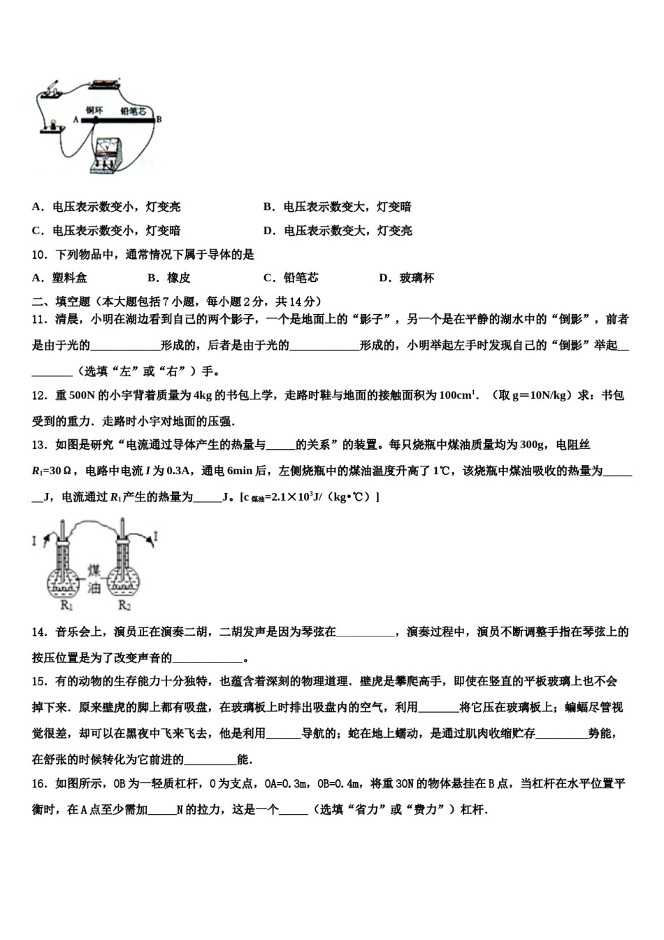 2023-2024学年江西师大附中达标名校中考物理押题试卷含解析.doc_第3页