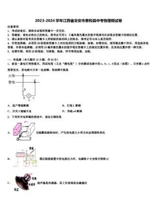 2023-2024学年江西省吉安市泰和县中考物理模试卷含解析.doc