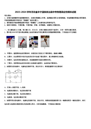2023-2024学年河北省丰宁满族自治县中考物理适应性模拟试题含解析.doc
