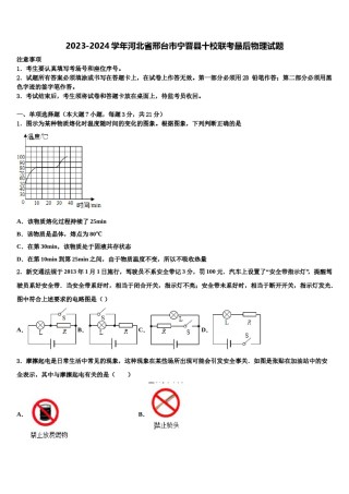 2023-2024学年河北省邢台市宁晋县十校联考最后物理试题含解析.doc
