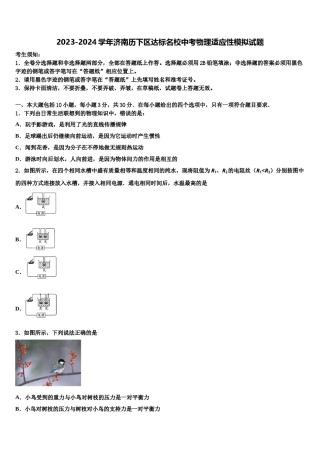 2023-2024学年济南历下区达标名校中考物理适应性模拟试题含解析.doc