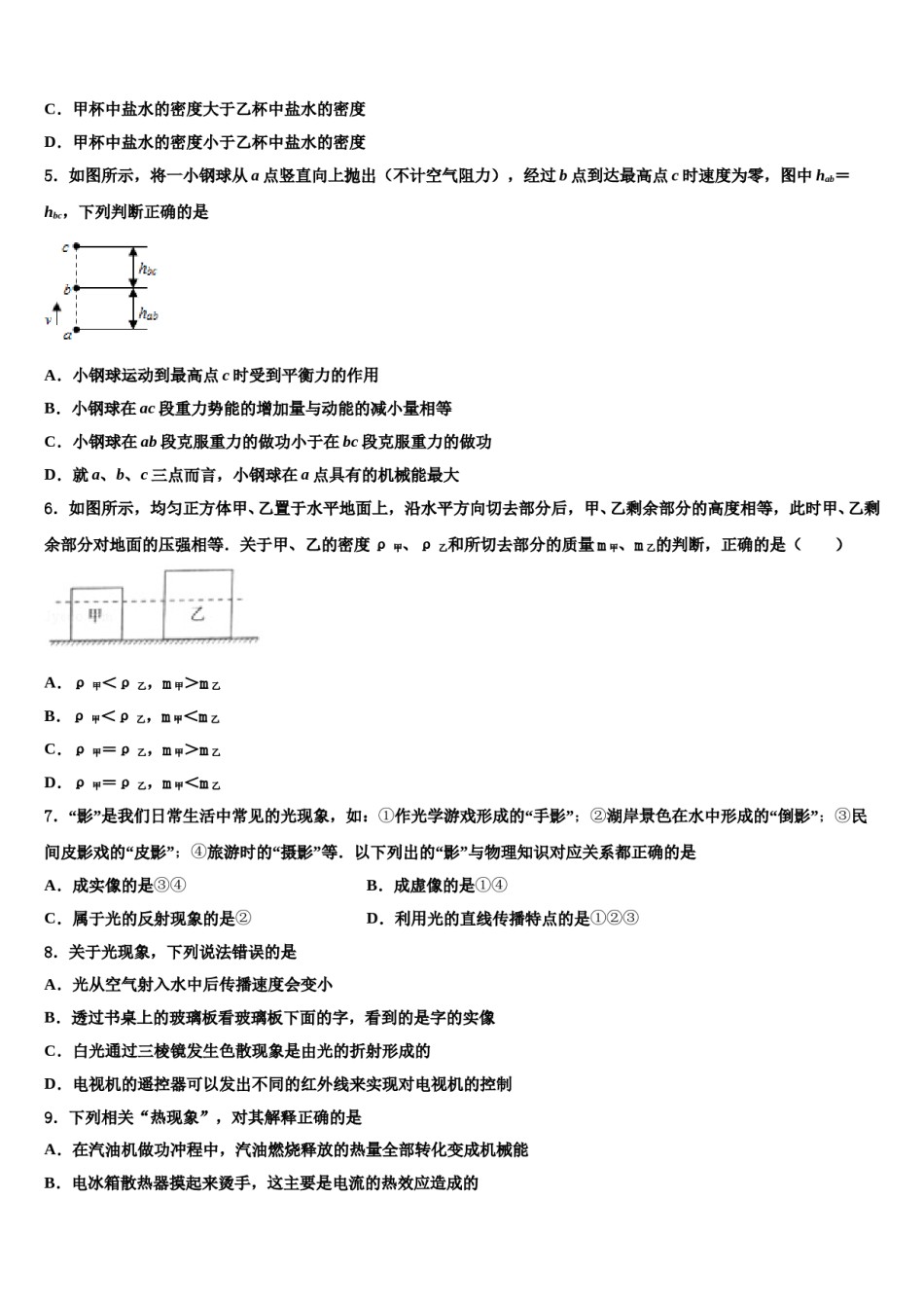 2023-2024学年浙江杭州拱墅区锦绣育才中考物理模试卷含解析.doc_第2页