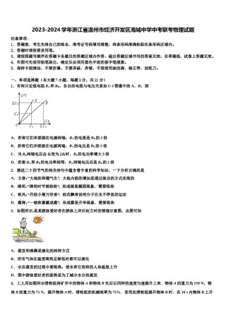 2023-2024学年浙江省温州市经济开发区海城中学中考联考物理试题含解析.doc