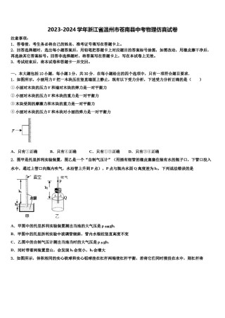 2023-2024学年浙江省温州市苍南县中考物理仿真试卷含解析.doc
