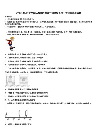 2023-2024学年浙江省玉环市第一期重点名校中考物理仿真试卷含解析.doc