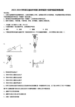 2023-2024学年浙江省金华市聚仁教学集团十校联考最后物理试题含解析.doc