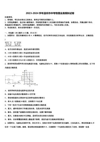 2023-2024学年温州市中考物理全真模拟试卷含解析.doc