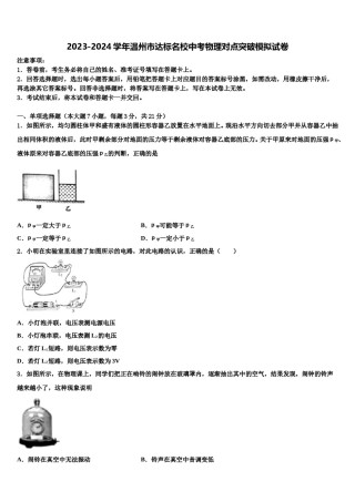2023-2024学年温州市达标名校中考物理对点突破模拟试卷含解析.doc