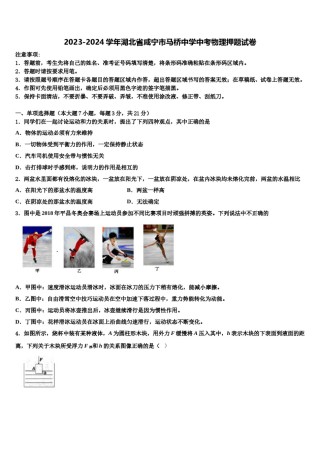 2023-2024学年湖北省咸宁市马桥中学中考物理押题试卷含解析.doc