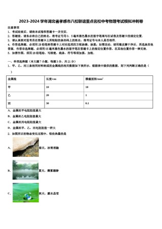 2023-2024学年湖北省孝感市八校联谊重点名校中考物理考试模拟冲刺卷含解析.doc