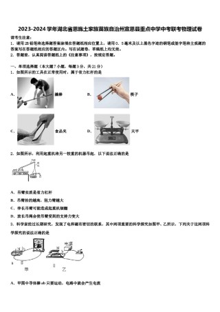 2023-2024学年湖北省恩施土家族苗族自治州宣恩县重点中学中考联考物理试卷含解析.doc