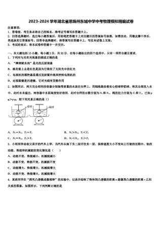 2023-2024学年湖北省恩施州东城中学中考物理模拟精编试卷含解析.doc