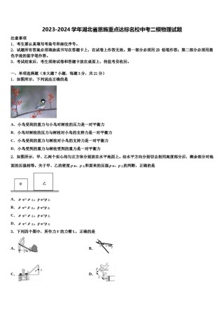 2023-2024学年湖北省恩施重点达标名校中考二模物理试题含解析.doc