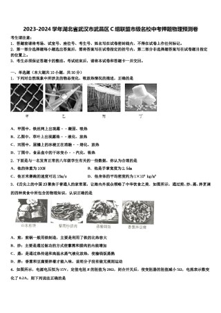 2023-2024学年湖北省武汉市武昌区C组联盟市级名校中考押题物理预测卷含解析.doc