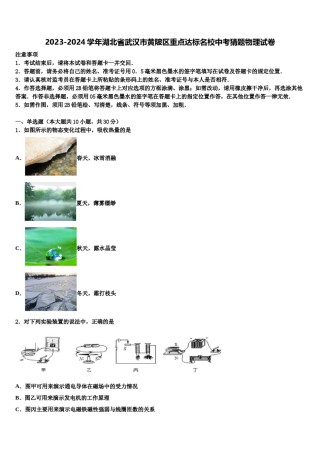 2023-2024学年湖北省武汉市黄陂区重点达标名校中考猜题物理试卷含解析.doc