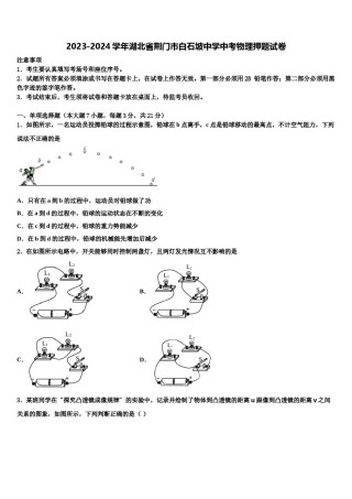 2023-2024学年湖北省荆门市白石坡中学中考物理押题试卷含解析.doc