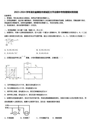 2023-2024学年湖北省襄阳市樊城区太平店镇中考物理模拟预测题含解析.doc