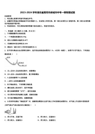 2023-2024学年湖北省黄冈市麻城市中考一模物理试题含解析.doc