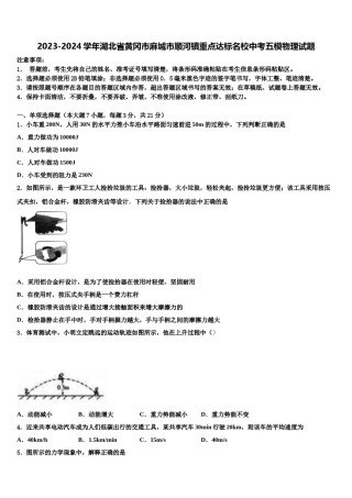 2023-2024学年湖北省黄冈市麻城市顺河镇重点达标名校中考五模物理试题含解析.doc