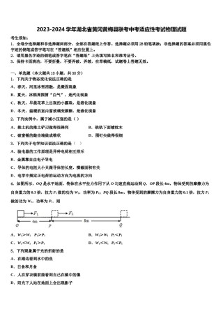 2023-2024学年湖北省黄冈黄梅县联考中考适应性考试物理试题含解析.doc