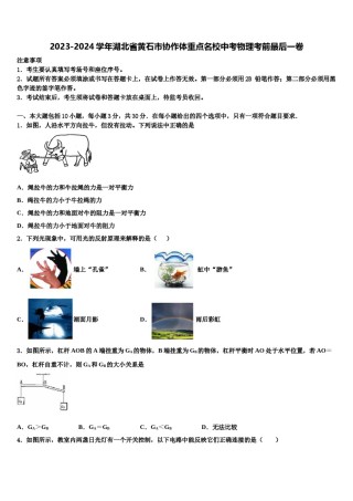 2023-2024学年湖北省黄石市协作体重点名校中考物理考前最后一卷含解析.doc
