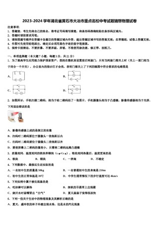 2023-2024学年湖北省黄石市大冶市重点名校中考试题猜想物理试卷含解析.doc