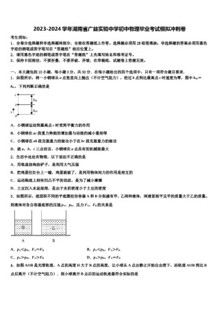 2023-2024学年湖南省广益实验中学初中物理毕业考试模拟冲刺卷含解析.doc