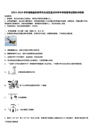 2023-2024学年湖南省张家界市永定区重点中学中考物理考试模拟冲刺卷含解析.doc