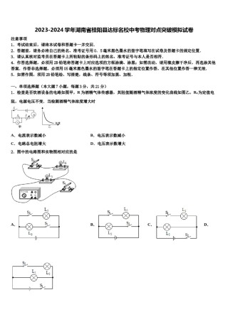 2023-2024学年湖南省桂阳县达标名校中考物理对点突破模拟试卷含解析.doc