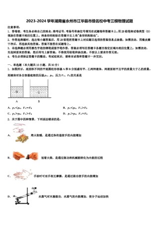 2023-2024学年湖南省永州市江华县市级名校中考三模物理试题含解析.doc