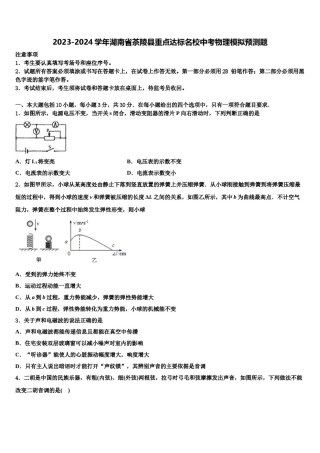 2023-2024学年湖南省茶陵县重点达标名校中考物理模拟预测题含解析.doc