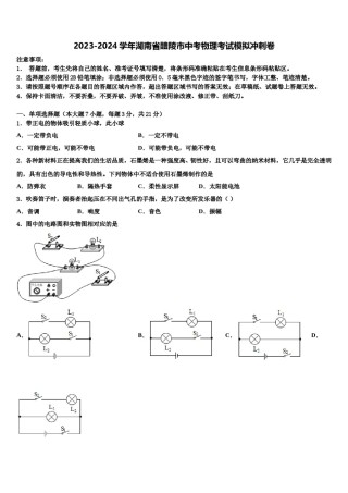 2023-2024学年湖南省醴陵市中考物理考试模拟冲刺卷含解析.doc