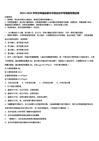 2023-2024学年甘肃省临夏市市级名校中考猜题物理试卷含解析.doc