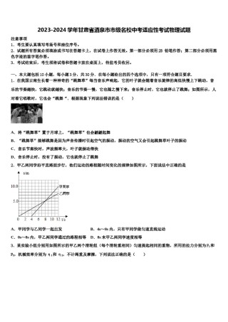 2023-2024学年甘肃省酒泉市市级名校中考适应性考试物理试题含解析.doc