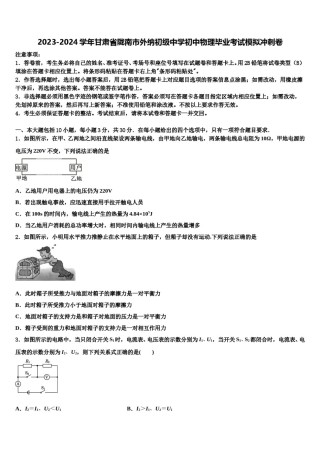 2023-2024学年甘肃省陇南市外纳初级中学初中物理毕业考试模拟冲刺卷含解析.doc