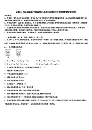 2023-2024学年甘肃省高台县重点达标名校中考联考物理试卷含解析.doc