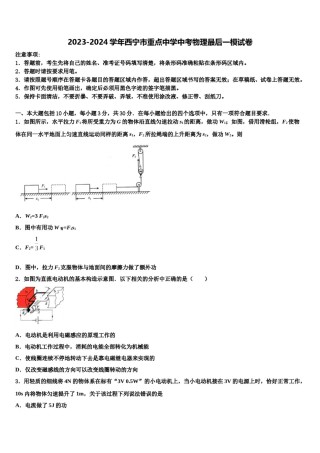 2023-2024学年西宁市重点中学中考物理最后一模试卷含解析.doc