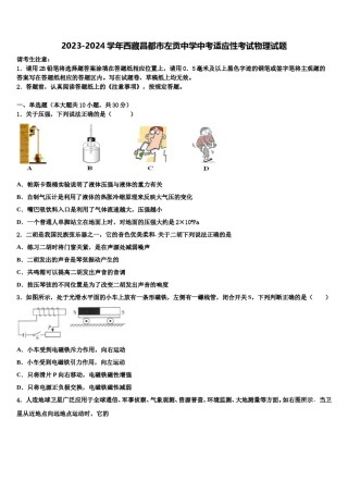2023-2024学年西藏昌都市左贡中学中考适应性考试物理试题含解析.doc