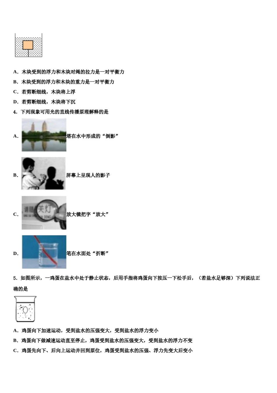 2023-2024学年贵州省六盘水市第四实验中学中考物理仿真试卷含解析.doc_第2页