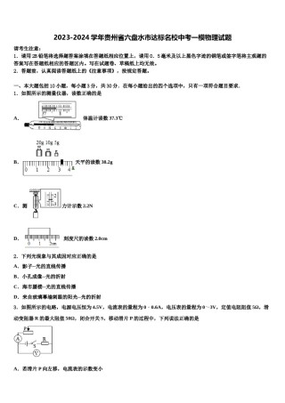 2023-2024学年贵州省六盘水市达标名校中考一模物理试题含解析.doc